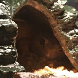 Meet your Posher, Paul